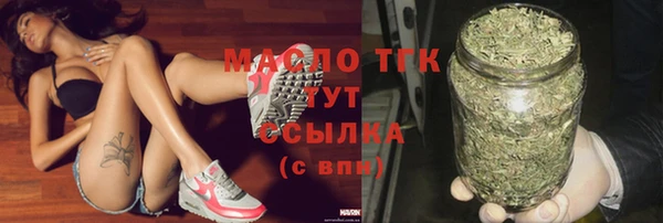 индика Щучье