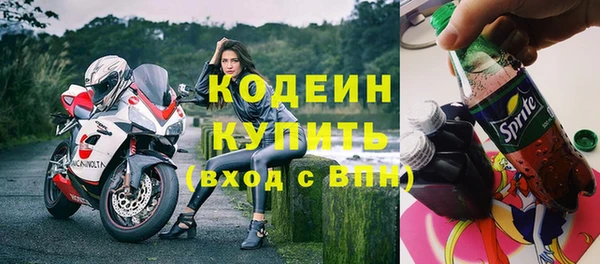 индика Щучье