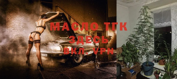 индика Щучье