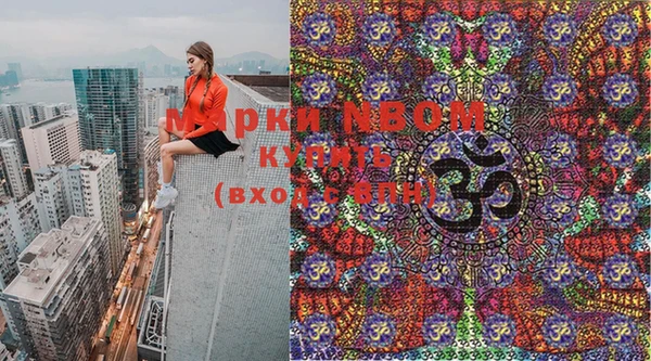 индика Щучье