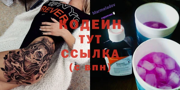 индика Щучье