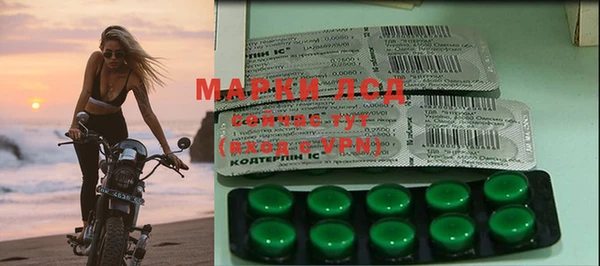 PSILOCYBIN Щигры